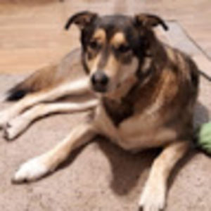 Meet your Posher, Killboy